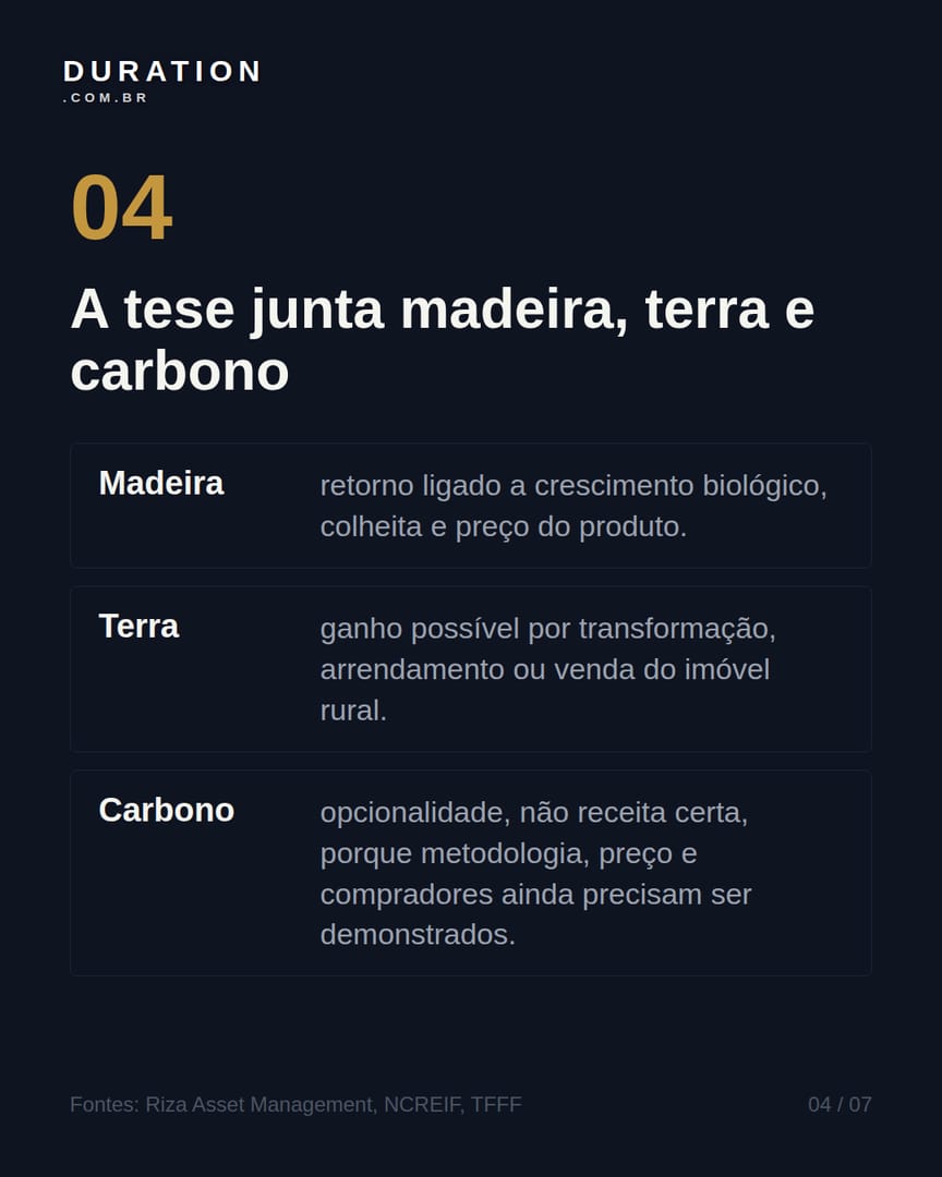 Slide 4 de 7: A tese junta madeira, terra e carbono